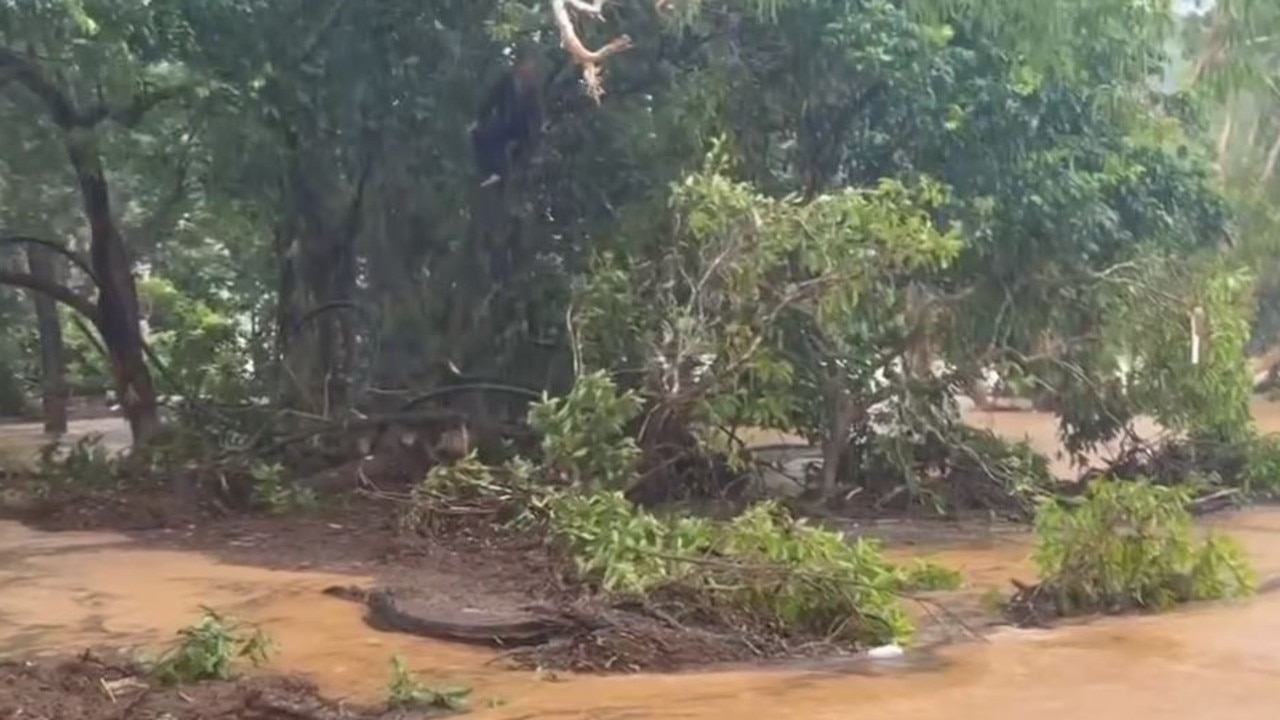 Fnq Floods Shocking Moment Man Found Clinging To Tree Surrounded By