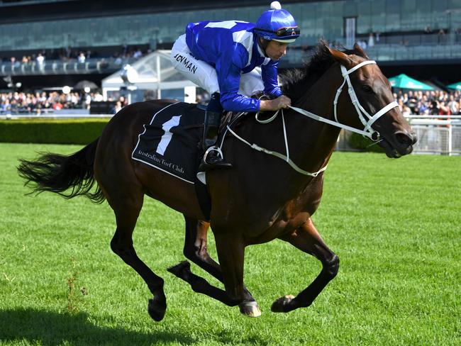 Hugh Bowman and Winx entertain the early arrivals with an exhibition gallop before the first race at Randwick on Saturday. Picture: AAP