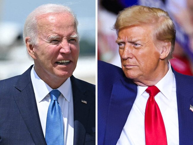 web art for Trump, Biden