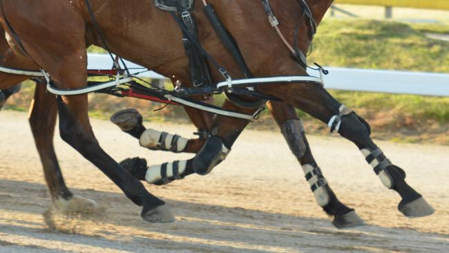 Two brothers, Ben and Tim Yole, have had their harness racing licences disqualified for three years after being found guilty of racing charges relating to mistreatment of horses.