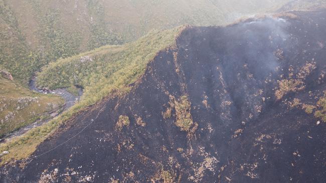 Hoselay on ridgeline near Gordon River. Picture: WARREN FREY/TASMANIA FIRE SERVICE 