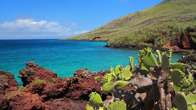 Touritsts travel to the Galapagos for the animals but fall for the landscape.