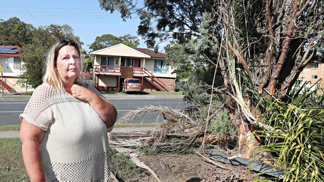 Lisa Livingstone-Kameta in front of the palm tree where a car crashed. Picture: Annette Dew