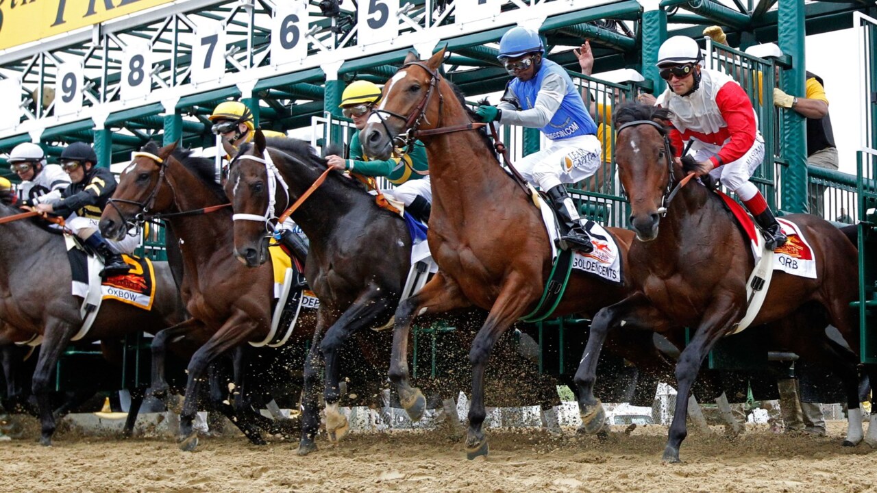 Horse racing the ‘last bastion’ of sport in COVID-19 pandemic