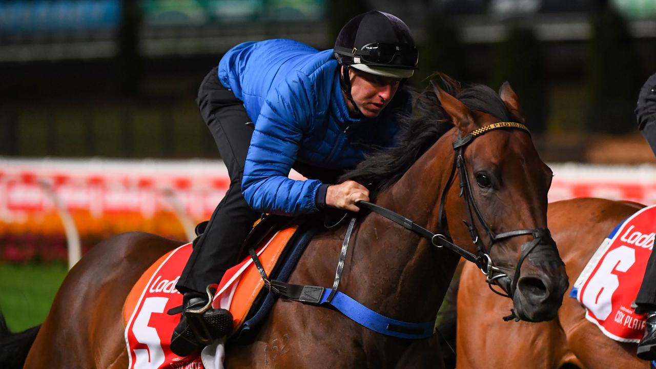 Moonee Valley Trackwork Session