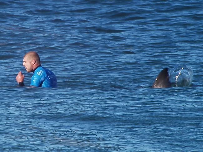 The shark closing in on Mick Fanning. Credit: AFP PHOTO/WSL