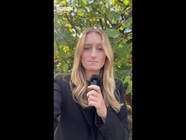 LEGO and leftovers: Day nine of Erin Patterson’s murder trial
