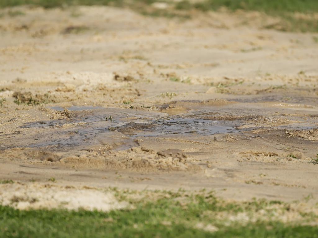 Adelaide coach Matthew Clarke unloaded over the surface. Picture: Dylan Burns/AFL Photos via Getty Images.