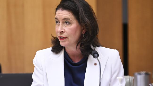 CANBERRA, AUSTRALIA, NewsWire Photos. OCTOBER 26, 2023: Senator Susan McDonald during an Economics Senate Inquiry at Parliament House in Canberra. Picture: NCA NewsWire / Martin Ollman