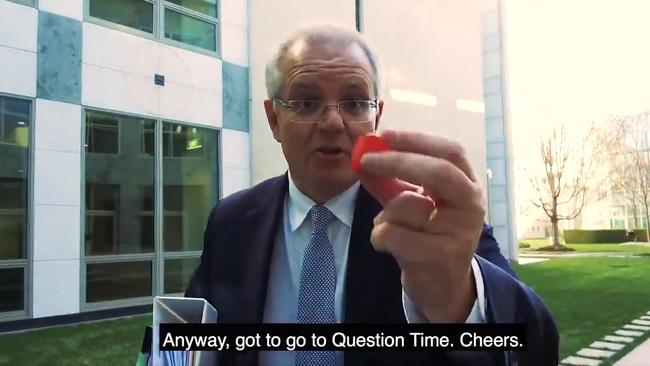 Mr Morrison urges Australians to buy strawberries in an video posted on Twitter this week.