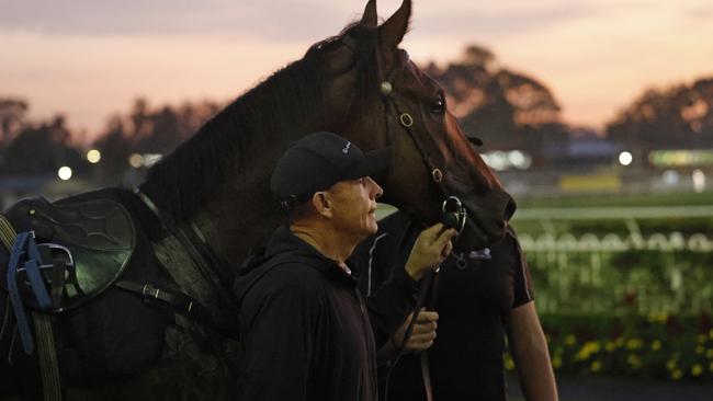 Chris Waller with Golden Slipper contender Wodeton at Rosehill. Picture: Richard Dobson