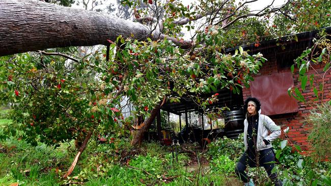 Rebecca Perry looks on after a huge tree fell on her Crafers house due to heavy rain. Picture: Mark Brake