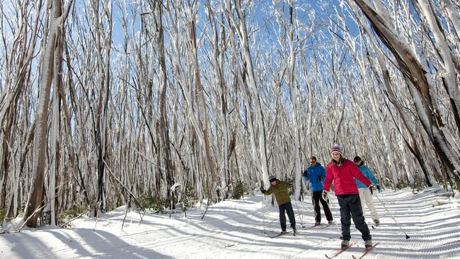 Try out cross country skiing on the Lake Mountain trails.