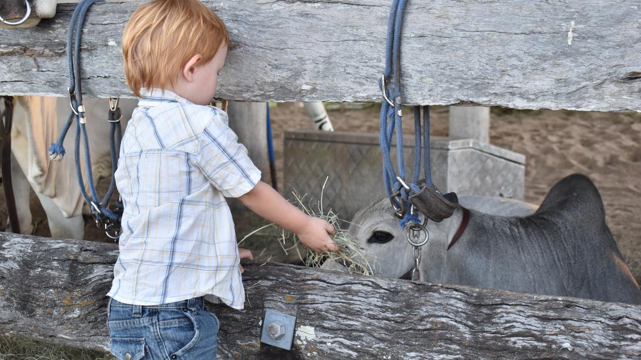 All ages enjoyed the attractions on day one of Show Whitsunday 2021. Picture: Kirra Grimes