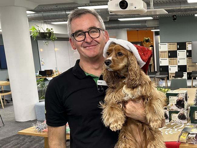 Woolworths Group CEO Brad Banducci and his three-year-old King Charles Cavalier cocker spaniel cross - Named Juno. Pic: Supplied