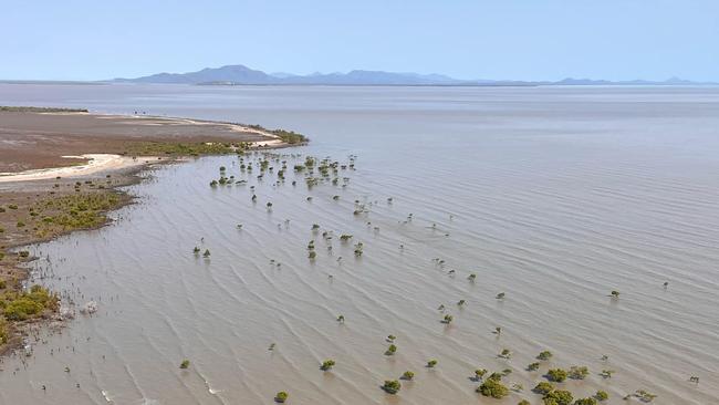 RACQ CapRescue have rejoined search efforts for a man after a tinnie reportedly capsized on Tuesday night. Photos: RACQ CapRescue.