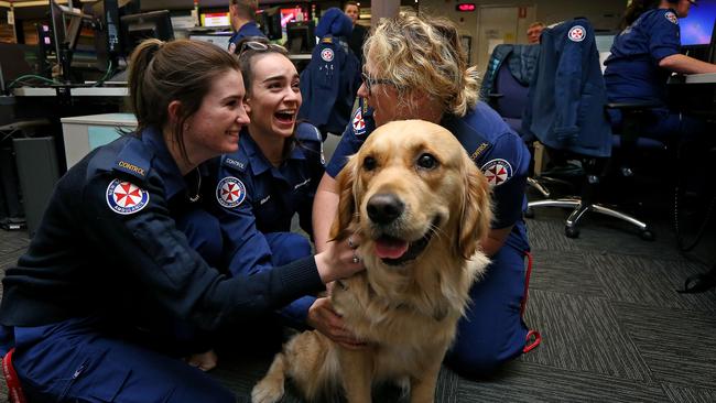 All smiles at the Sydney Control Centre in ­inner-west Eveleigh. Picture: Toby Zerna