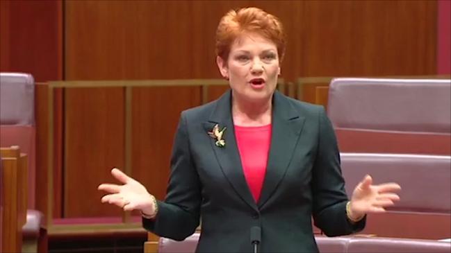 Pauline Hanson says autistic kids should be removed from mainstream classrooms. Credit - Australian Parliament House via Storyful