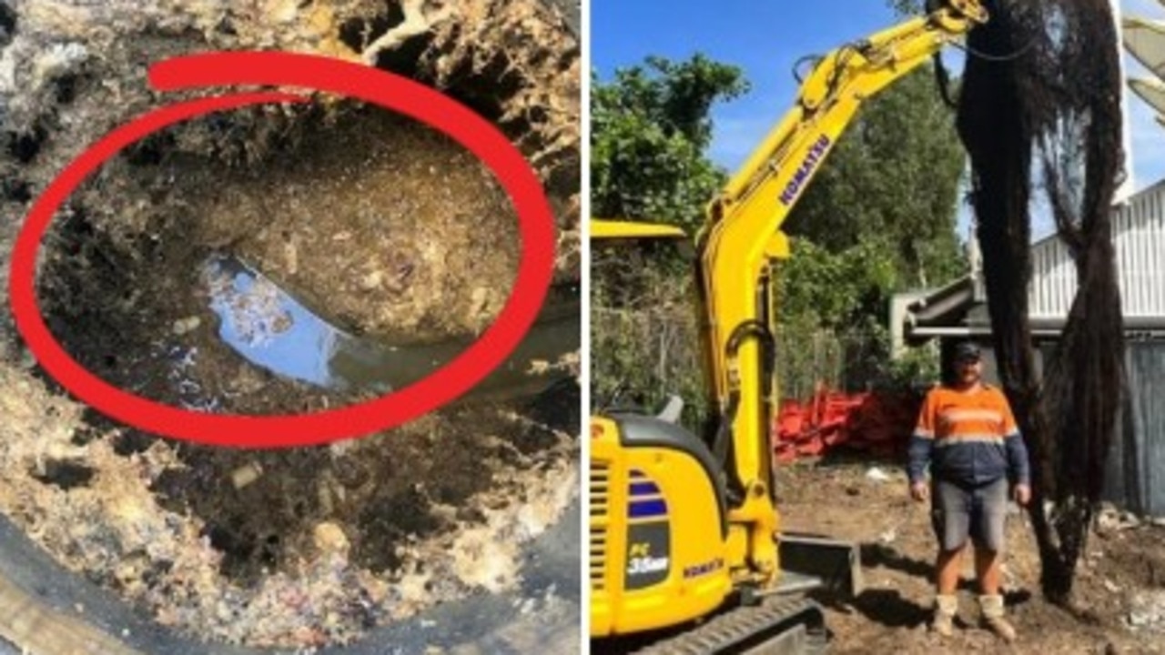Homeowners warned as 5.5m alien monster ripped from yard