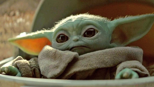 How could you want to kill this little guy?