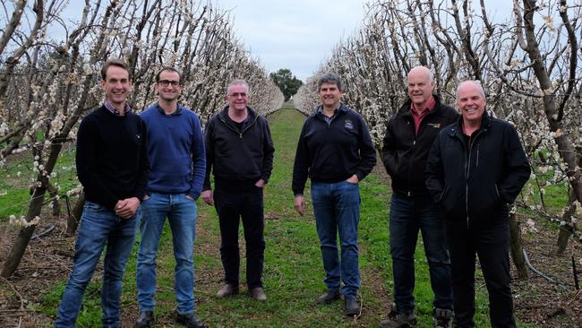 Goulburn Valley orchardists (from left) Chris Turnbull, Alex Turnbull, Stuart Pickworth, Rocky Varapodio, Peter Hall and Shane Hall have joined forces to create Pomona Valley. Canada's Ontario Teachers Pension Plan, through its AustOn Corporation subsidiary, has invested in the new business.