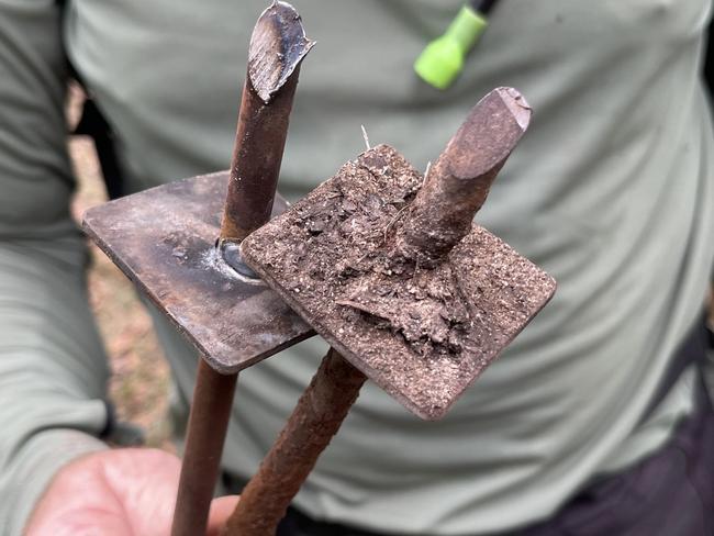 The Queensland Parks and Wildlife Service (QPWS) has increased patrols in Tewantin National Park after multiple metal spikes were found by mountain bikers and rangers near popular trails, embedded in the ground with the sharp end pointing skyward. Picture: Noosa Trailblazers MTB Club Inc