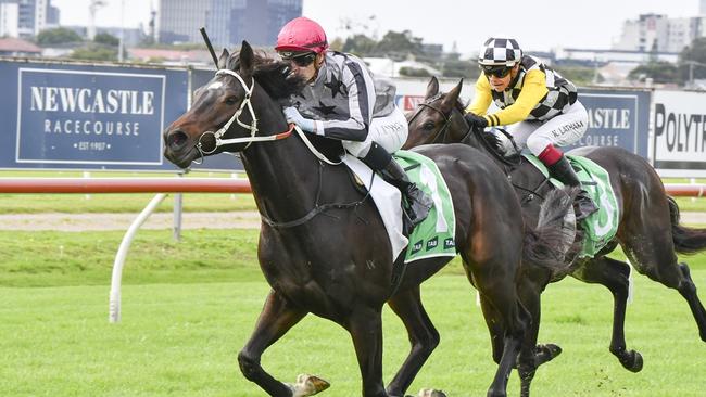 So Sleek looks well placed to break through for his first win this campaign at Warwick farm. Picture: Bradley Photos