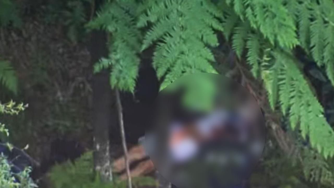 Two people are dead after a group of bushwalkers fell over a cliff in the Blue Mountains.