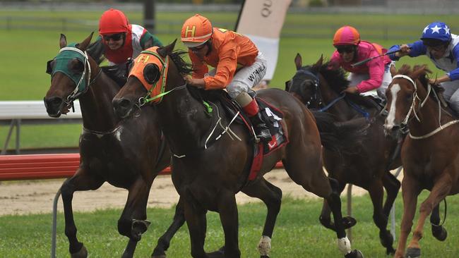 Horses racing in the Cassowary Coast Regional Council Class 1 Handicap at the Innisfail Turf Club.