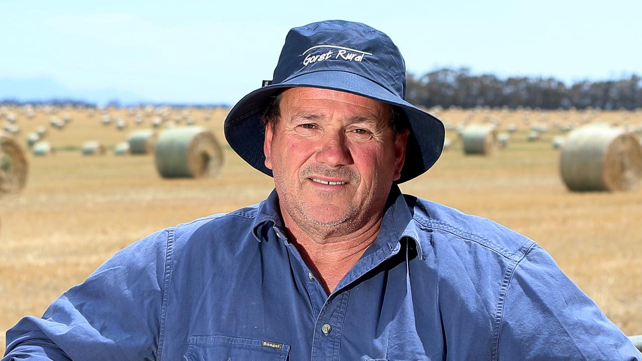 Canola yields expected to be halved at Westmere