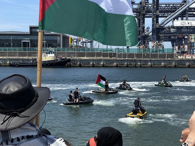 Palestine protesters rally at Port Botany against an Israeli shipping company. Picture: Dylan Robinson