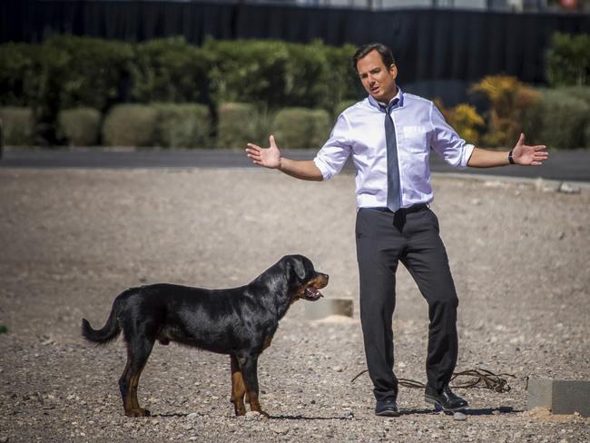 Will Arnett in a scene from <i>Show Dogs</i>. Picture: Supplied