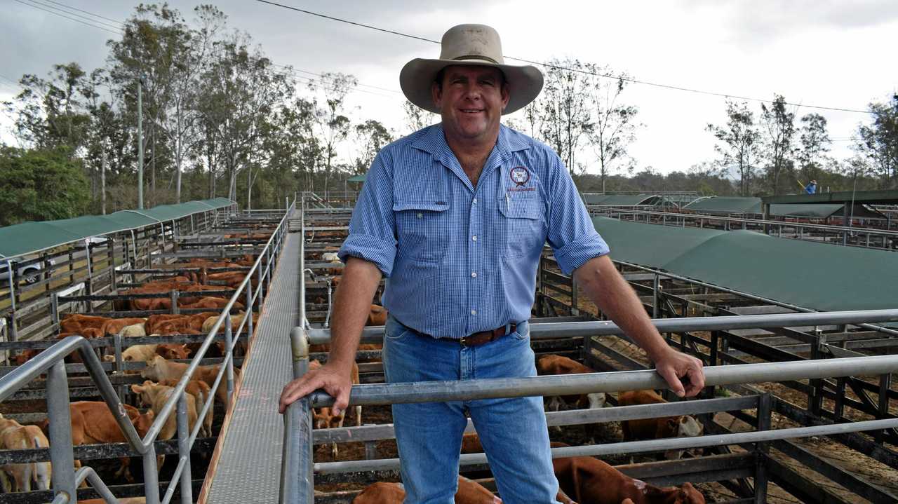 Dan Sullivan at the Gympie Saleyards. Picture: Scott Kovacevic