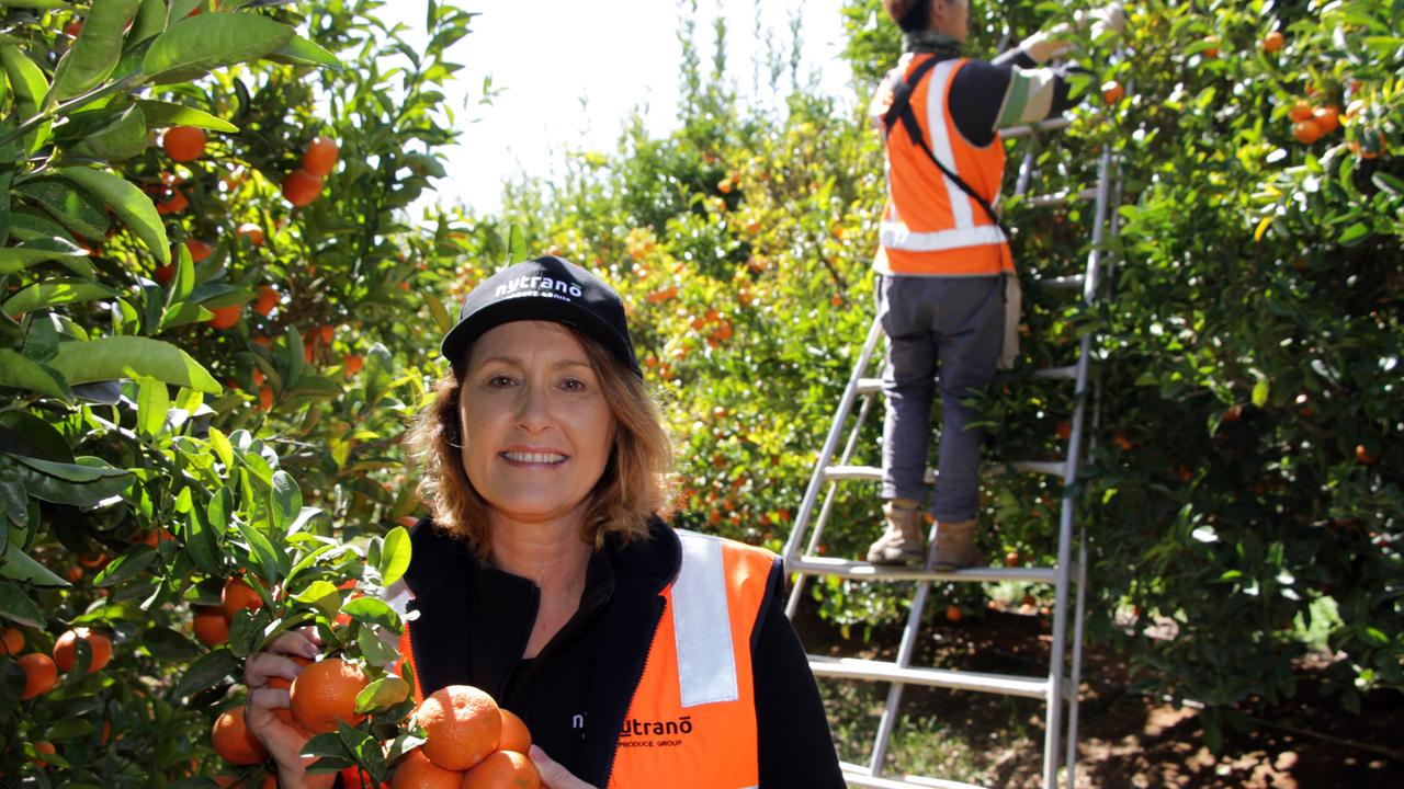 Good pick: Tania Chapman at a Nutrano orchard in Sunraysia, where the company owns 400ha at three sites, with permanent staff of about 40. Picture: Glenn Milne