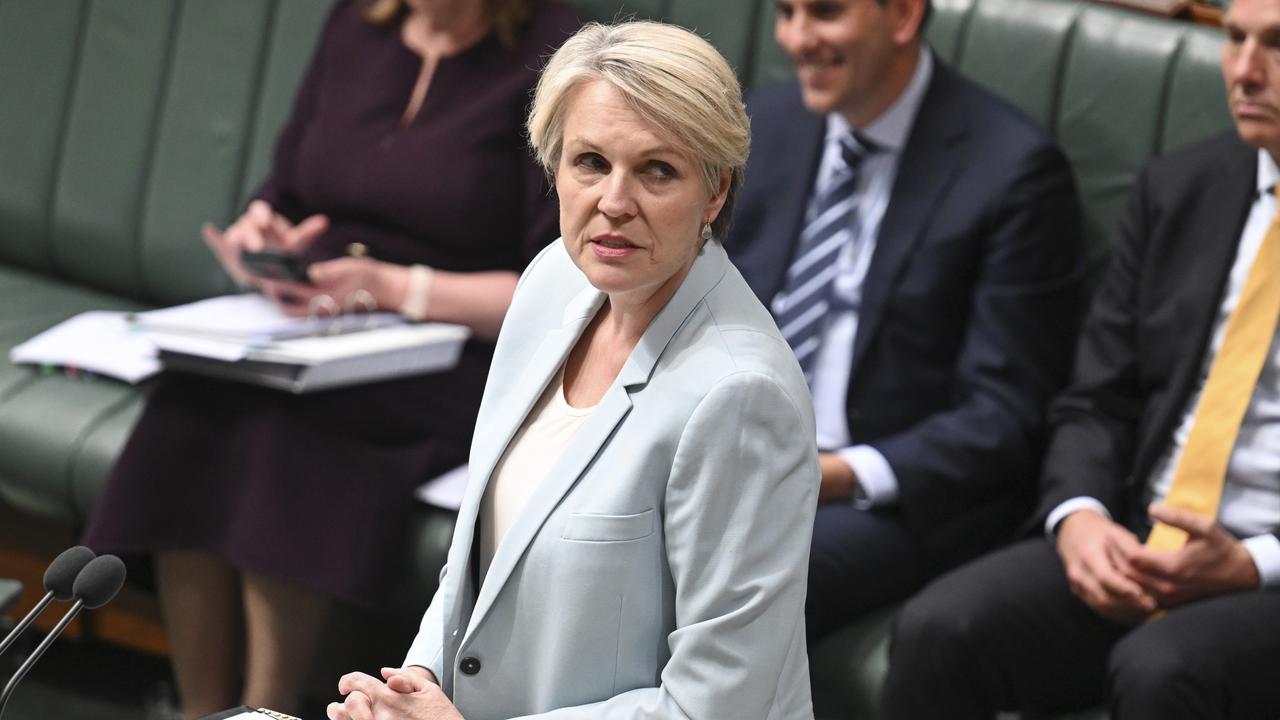 Minister for Environment and Water Tanya Plibersek during Question Time at Parliament House in Canberra. Picture: NewsWire / Martin Ollman