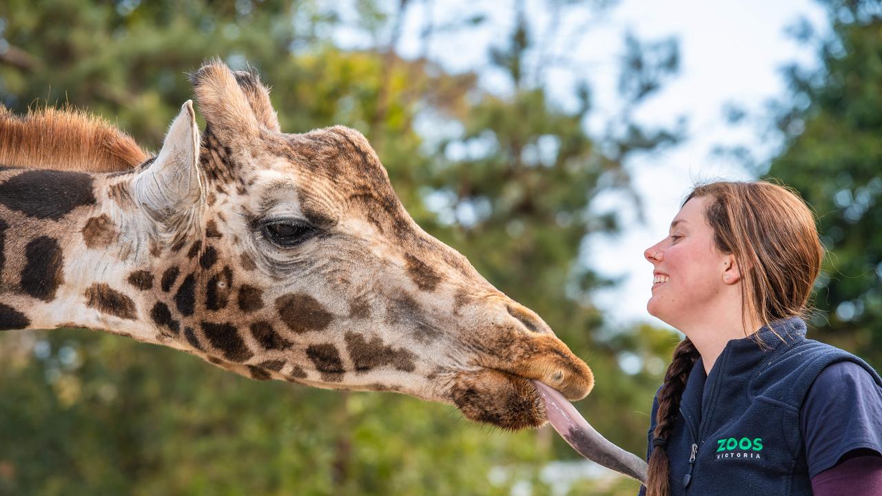 Zookeepers are on the list: Jason Edwards