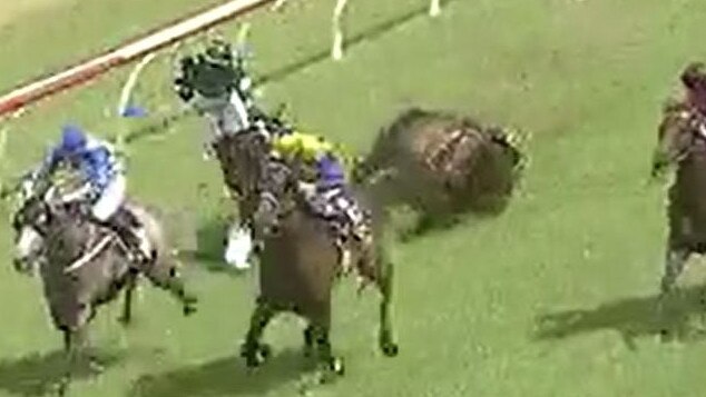 Three jockeys Emily Atkinson (So Super, white and blue silks), Luke Rolls (Cutting Loose, black and blue silks) and Tennille Gray (Baltic Cavalier, white silks) fell off their horses during race one at Clarence River Jockey Club in Grafton on Monday, 29th March, 2021.