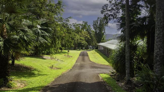 On May 29 the Department of Environment, Science and Innovation recommended to the Queensland Heritage Council that the Atherton Arboretum be entered in the Queensland Heritage Register. Picture: Rebel Warren