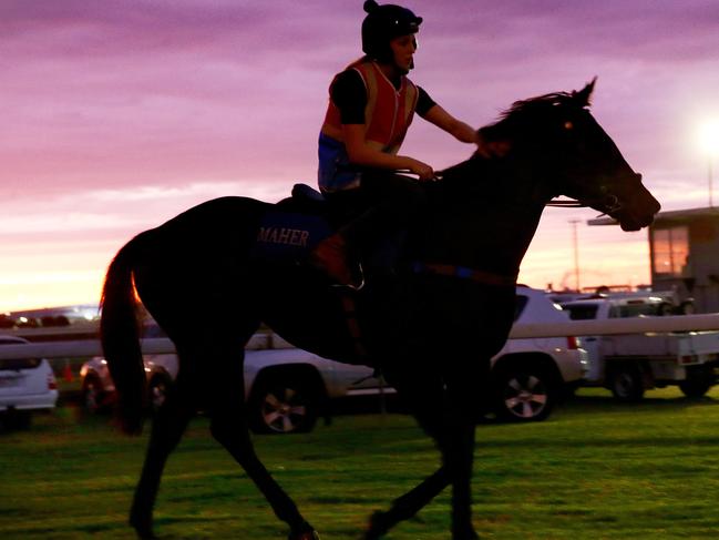 Azkadellia to grace new Eagle Farm playground