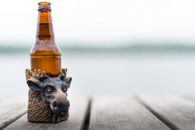 beer with a moose
