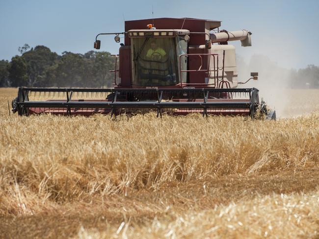 HARVEST December 2019 pictures: Siblings Mikaela and Luke Wilkinson harvesting barley in Joel South. Picture: ZOE PHILLIPS