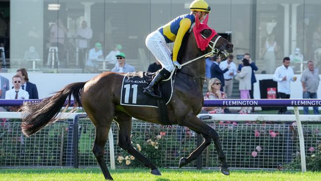 Mostly Cloudy (IRE) has raced consistently leading up to Saturday’s $500,000 Andrew Ramsden at Flemington. Picture: Racing Photos via Getty Images.