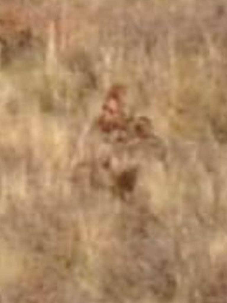 They captured the apelike creature on camera. Picture: Facebook / Shannon Parker