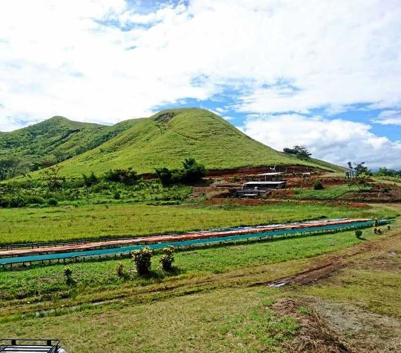 The farm in Papua New Guinea where beans are sourced for one of Gus' Coffee's special blends. Picture: Contributed