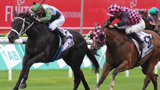 Hinged (left) can land a second Group 1 win in the Vinery Stud Stakes. Picture: Grant Guy