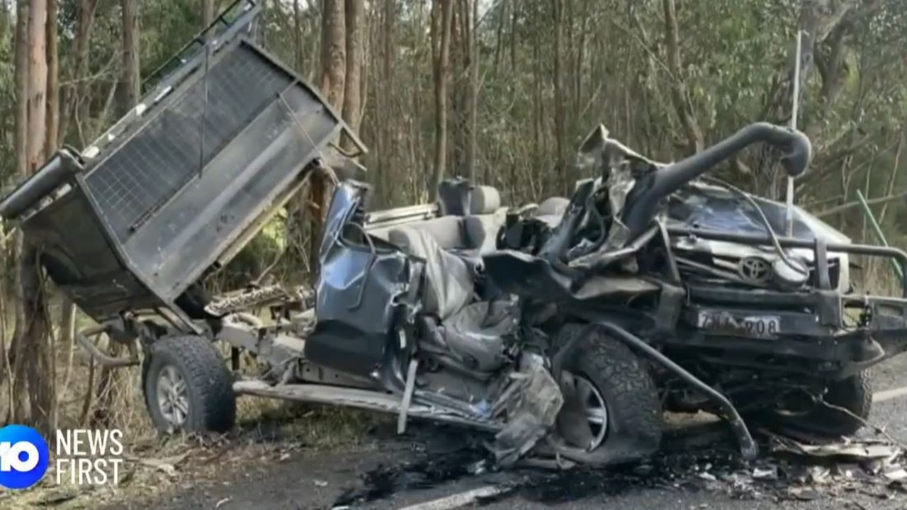 Chippie may have fallen asleep as he ploughed into ute