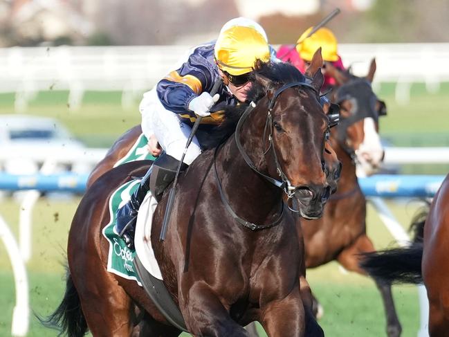 Arkansaw Kid ridden by Luke Currie wins the Evergreen Turf Regal Roller Stakes at Caulfield Racecourse on August 17, 2024 in Caulfield, Australia. (Photo by Scott Barbour/Racing Photos via Getty Images)