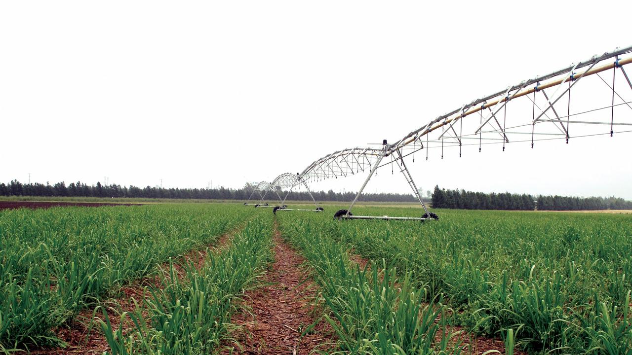 A State Cabinet meeting was held this week where the Australian Sugar Milling Council (ASMC) requested the Palaszczuk Government offer relief to sugarcane growers in regional Queensland, as the industry recovers from COVID-19.