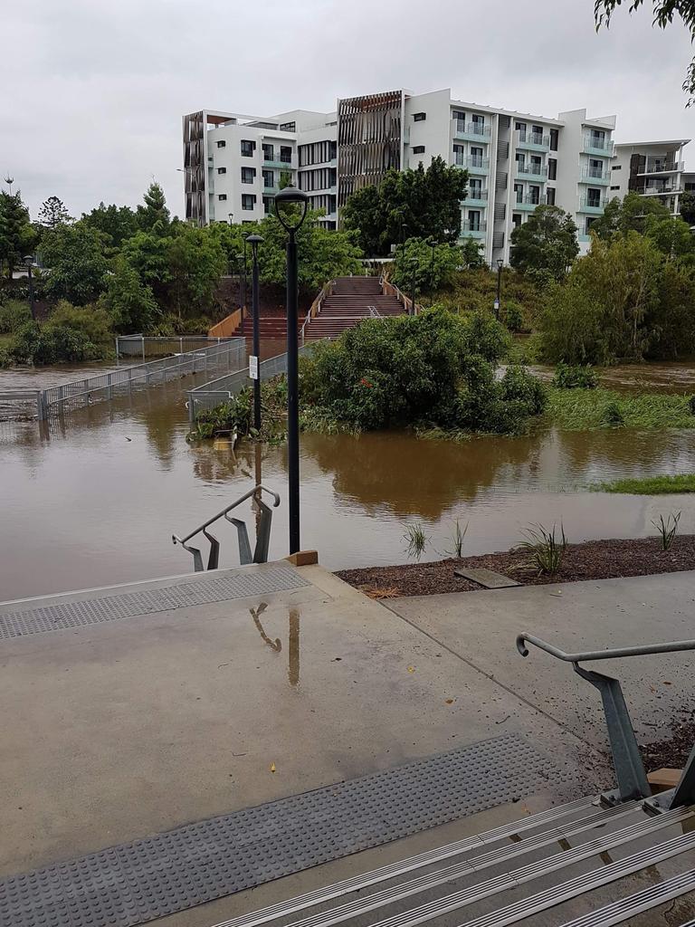 Kedron Brook overflowed near the Kedron Brook busway station on the morning of February 13, 2020. Photo: Bronwyn Jobson