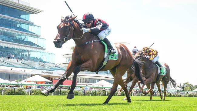 Zorro's Flight can complete a hat trick of wins when the three-year-old returns to Flemington. Picture: Racing Photos via Getty Images